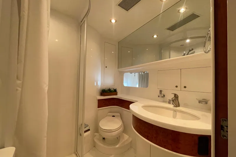 Slide: The Image of VIP head - 22