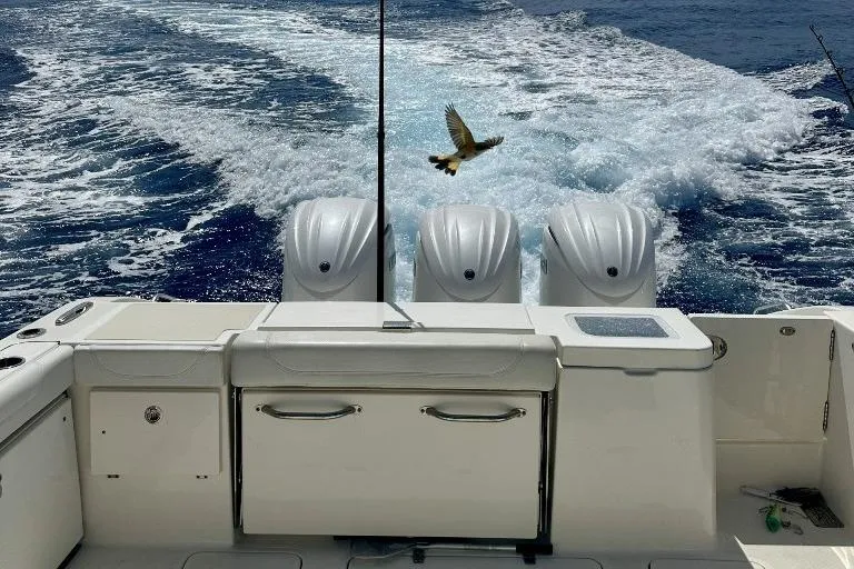 Slide: The Image of 2023 Pursuit OS 355 Offshore boat cruising with fishing rods, leaving a wake under a blue sky. - 9