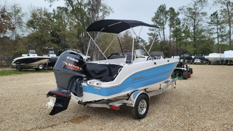 Slide: The Image of Stingray 172 DC 2024 - 4