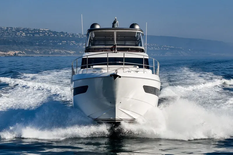 Slide: The Image of Princess F55 2019 - 8