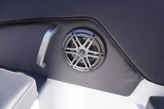 Slide: The Image of Scarab 285 ID 2026 - 12