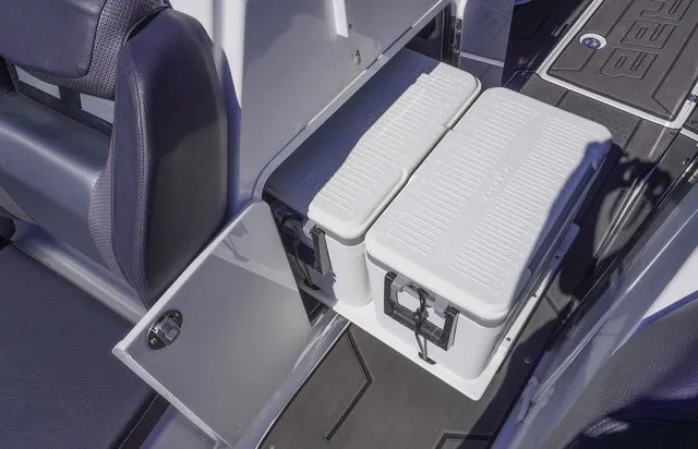 Slide: The Image of Scarab 285 ID 2026 - 15