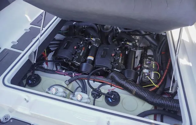 Slide: The Image of Scarab 285 ID 2026 - 32