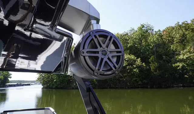 Slide: The Image of Scarab 285 ID 2026 - 5