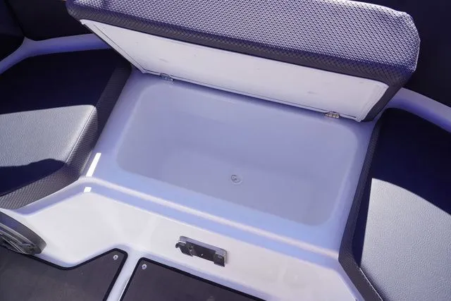 Slide: The Image of Scarab 285 ID 2026 - 8