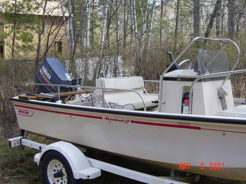 Slide: The Image of Boston Whaler Montauk 1995 - 4