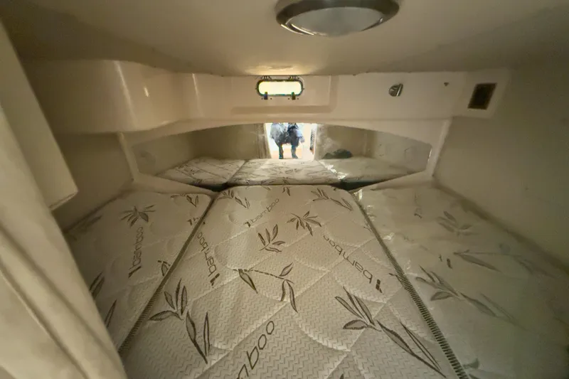 Slide: The Image of Interior cabin of 2006 Grady-White Express 330 with bamboo-patterned bedding. - 22