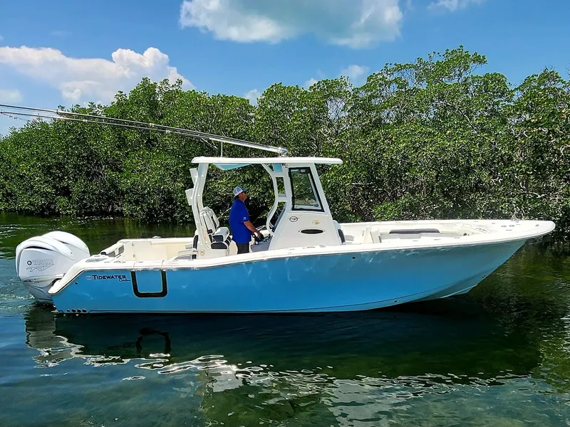 Slide: The Image of 2022 TIDEWATER 292 CC - Image 2 - 2