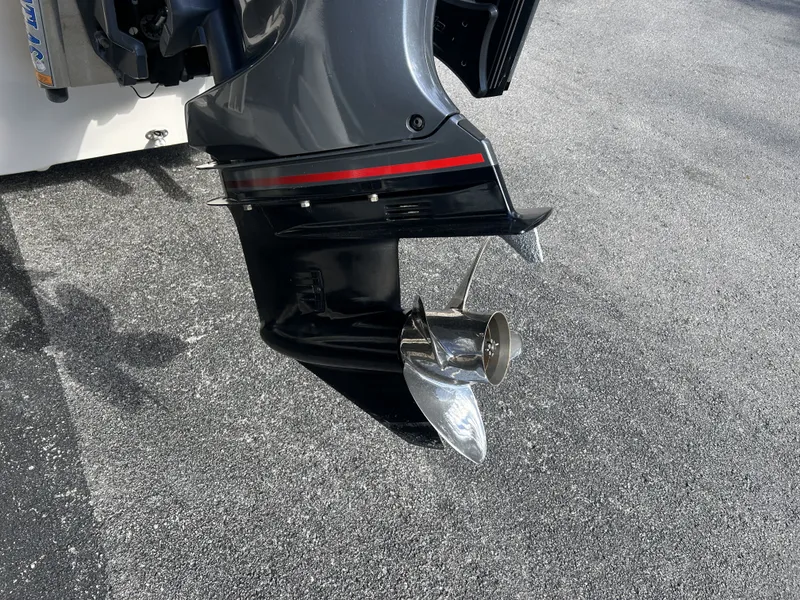 Slide: The Image of Carolina 2480 DLX 2019 - 10