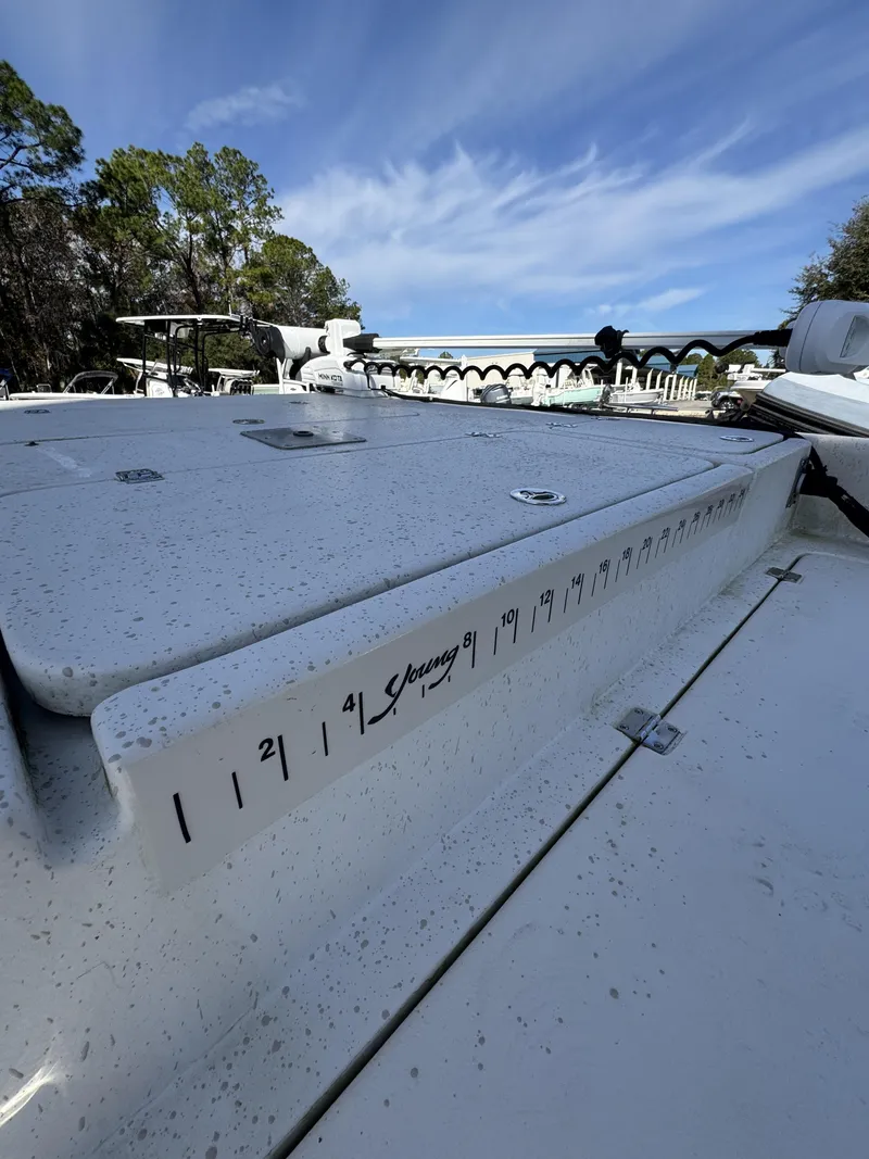 Slide: The Image of Carolina 2480 DLX 2019 - 40