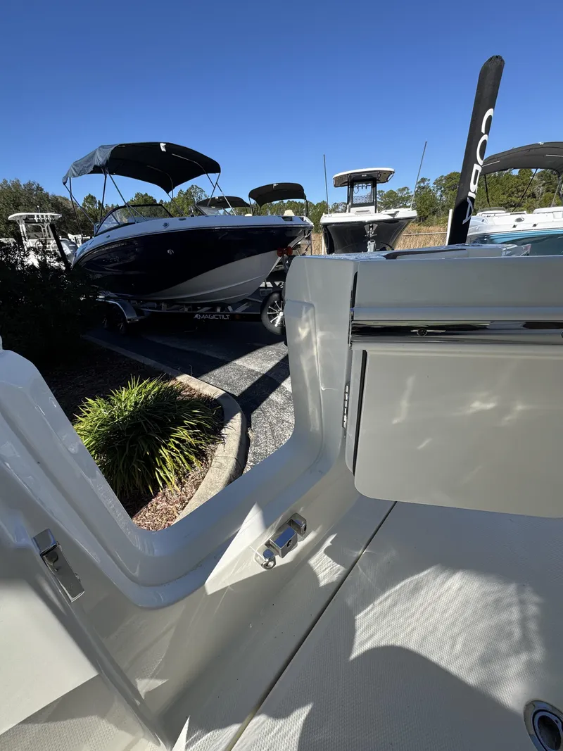 Slide: The Image of Cobia CC 245 2026 - 24