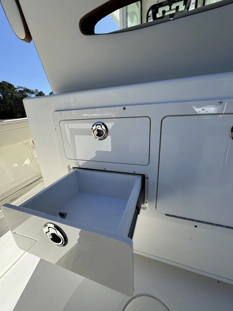 Slide: The Image of Cobia CC 245 2026 - 28