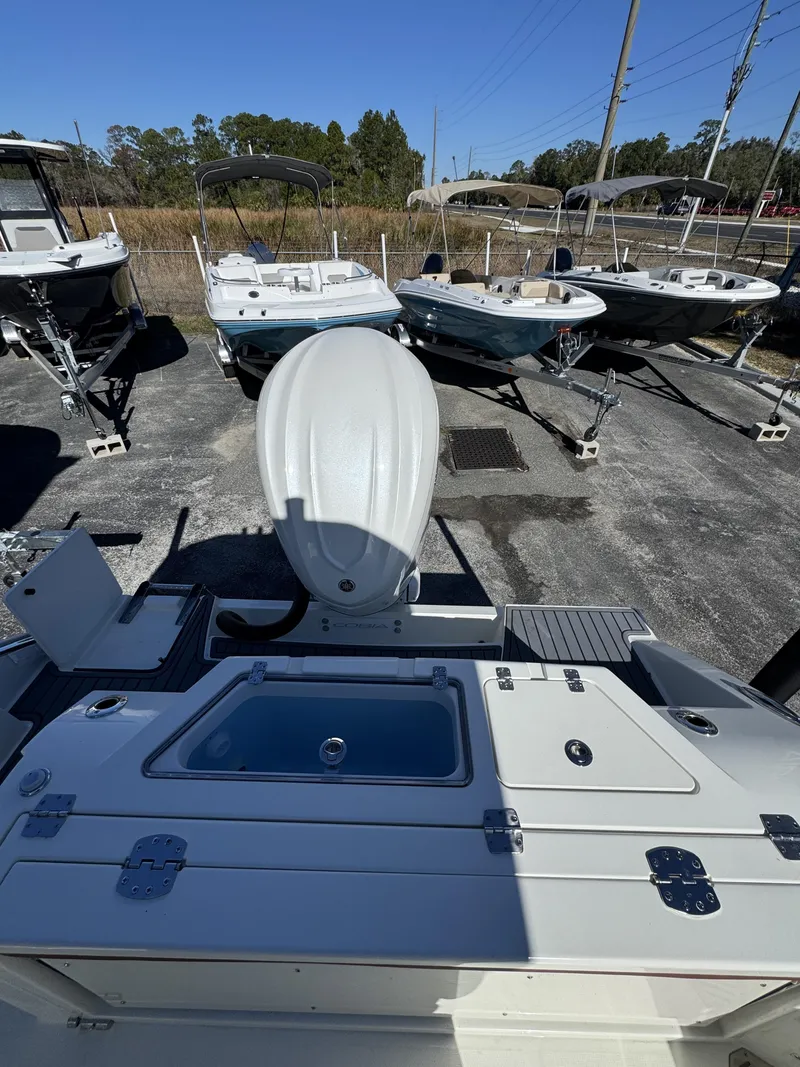 Slide: The Image of Cobia CC 245 2026 - 31