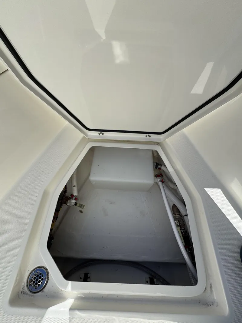 Slide: The Image of Cobia CC 245 2026 - 5