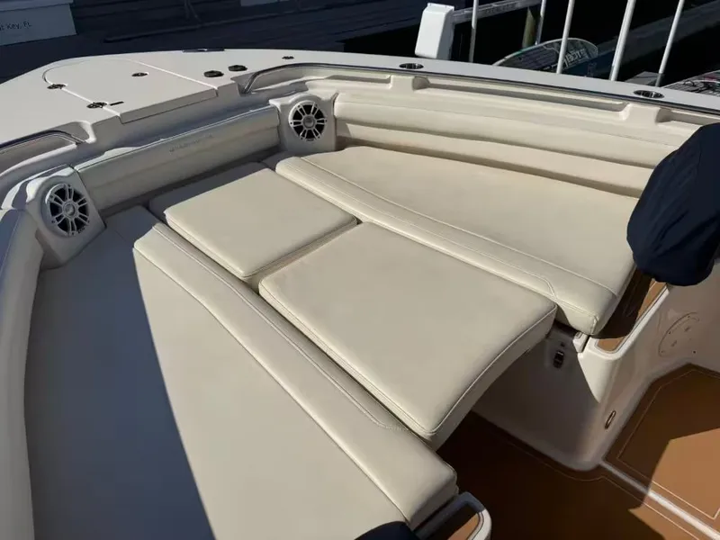 Slide: The Image of Grady-White Canyon 336 2020 - 22