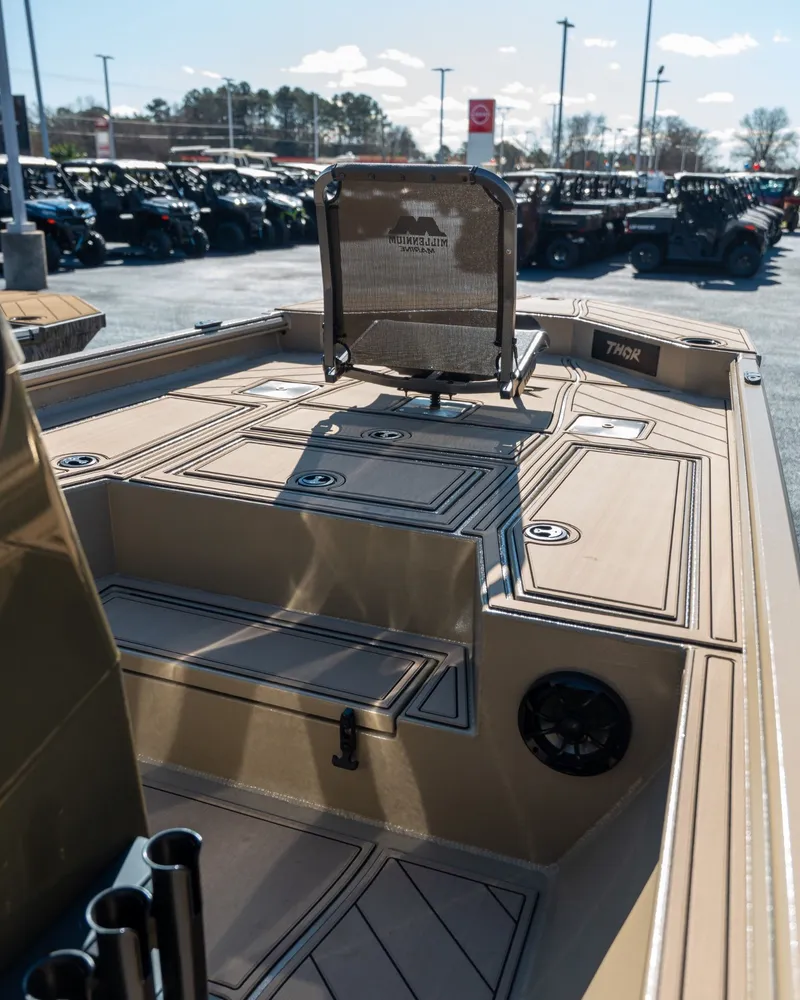 Slide: The Image of Thor Lake Hammer 1900 2026 - 15