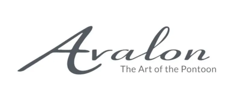 The Image of Avalon Excalibur 2013 - 0