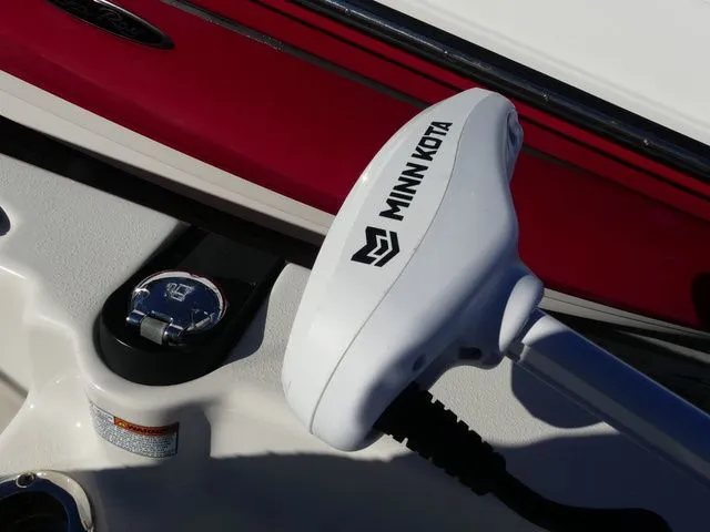 Slide: The Image of Carolina 21 LS 2022 - 12