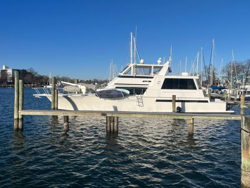 The Image of Viking 60 Cockpit Sport Yacht 1996 - 0