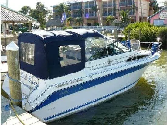 Slide: The Image of Sea Ray 250 Sundancer 1989 - 1