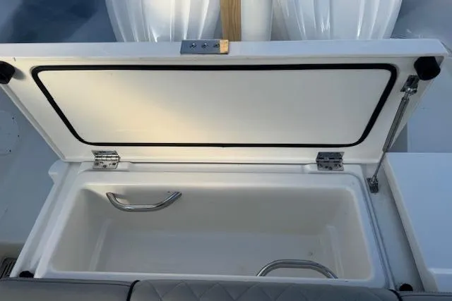 Slide: The Image of Open storage compartment on 2023 Pursuit DC 295 Dual Console boat. - 29