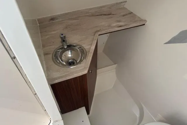 Slide: The Image of 2023 Pursuit DC 295 Dual Console bathroom with sink and countertop. - 43