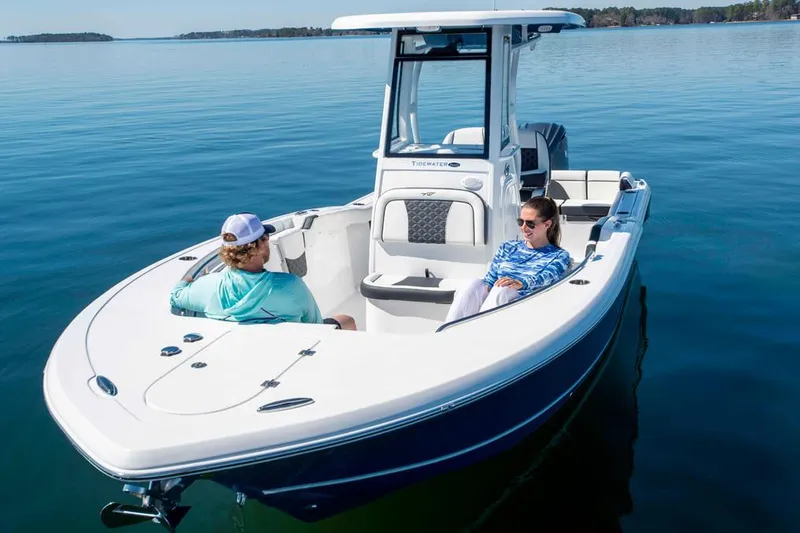 Slide: The Image of Manufacturer Provided Image - 2