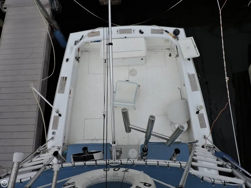 Slide: The Image of Bertram 31 Bahia Mar Sportfisher 1966 - 11
