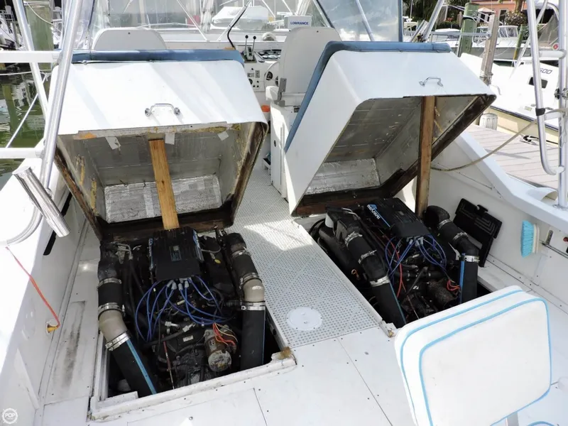 Slide: The Image of Bertram 31 Bahia Mar Sportfisher 1966 - 6