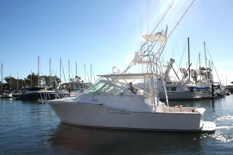 The Image of 2005 Cabo 35 Express boat docked in a sunny marina. - 1