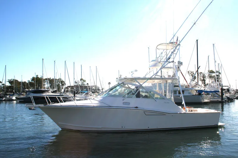 Slide: The Image of 2005 Cabo 35 Express boat docked in a marina with clear blue skies. - 3
