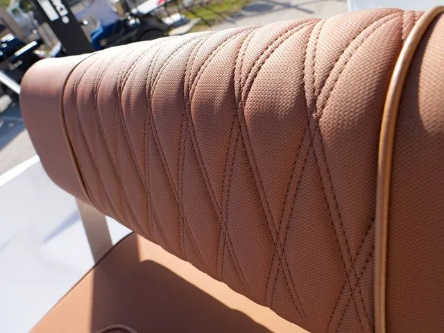 Slide: The Image of ALK2 18CRS 2026 - 16