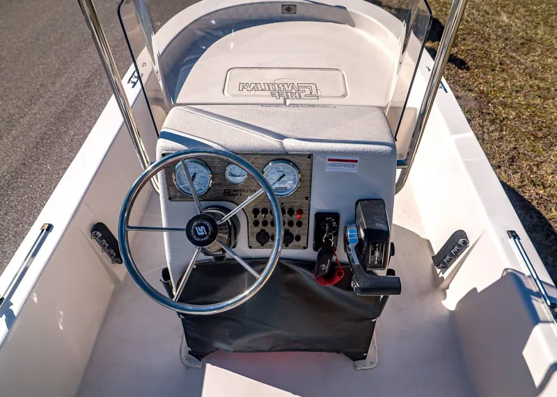 Slide: The Image of Carolina E20JVX 2026 - 13