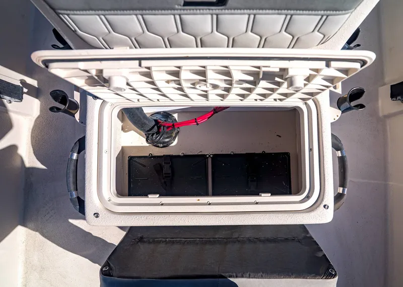 Slide: The Image of Carolina E20JVX 2026 - 18