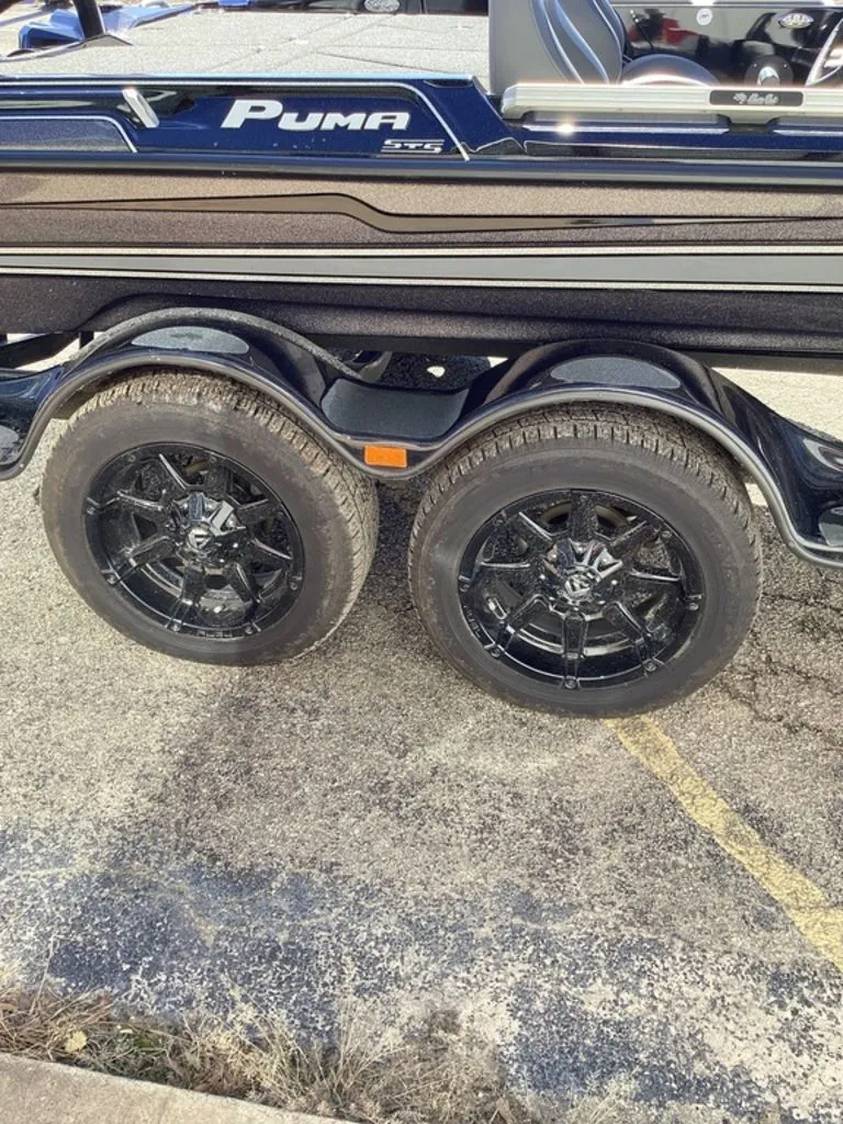 Slide: The Image of Bass Cat Puma STS 2024 - 7