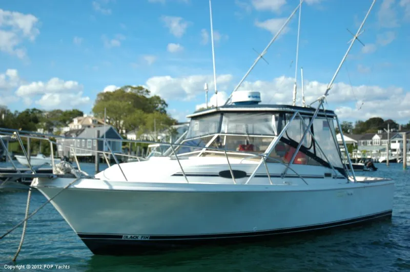 Slide: The Image of Blackfin 29 COMBI 1987 - 1