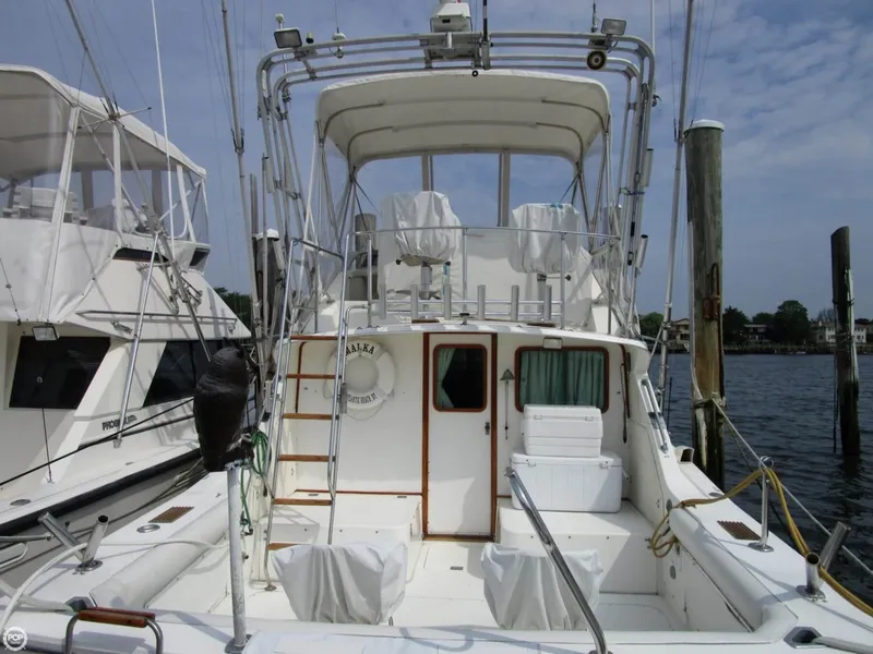 Slide: The Image of Bertram 33 Sport Fisherman 1987 - 3