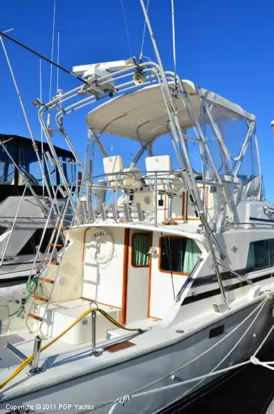 Slide: The Image of Bertram 33 Sport Fisherman 1987 - 5