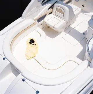 Slide: The Image of Sea Ray 290 Bowrider 2001 - 2