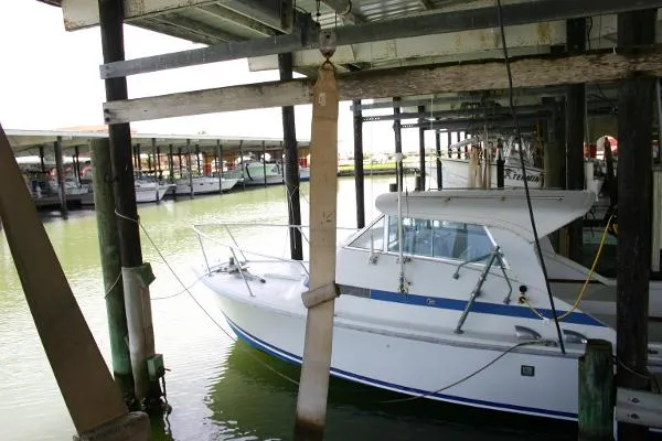Slide: The Image of Bertram 31 Bahia Mar 1970 - 3