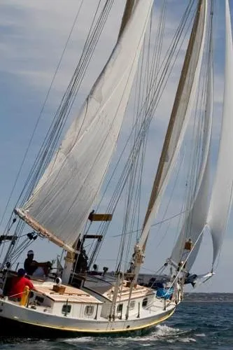 Slide: The Image of Penobscot Boat Works Pinky Schooner 1976 - 5