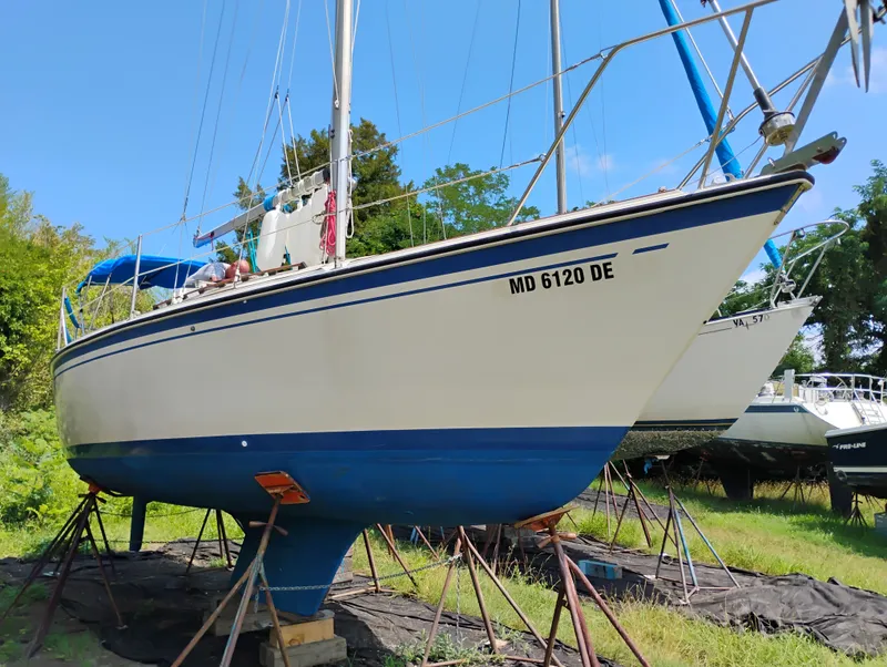 Slide: The Image of O'Day 28 1985 - 6