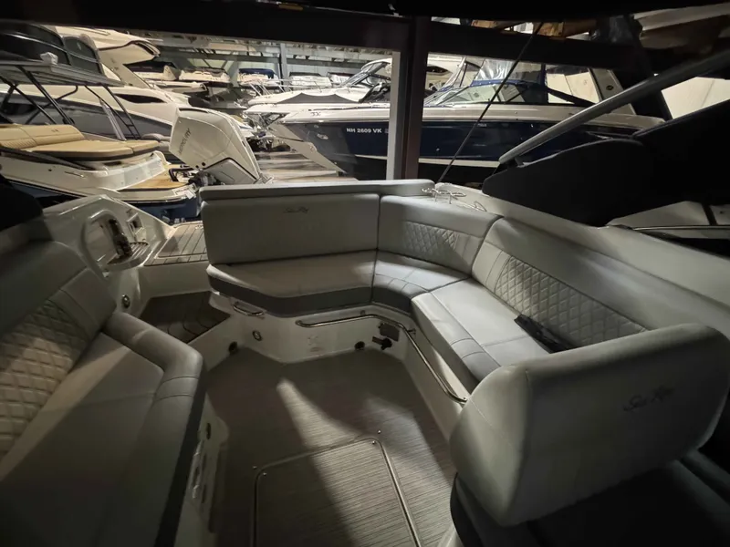 Slide: The Image of Sea Ray 250 SLX 2022 - 18