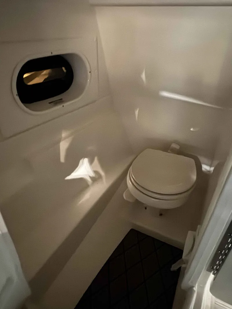 Slide: The Image of Sea Ray 250 SLX 2022 - 7