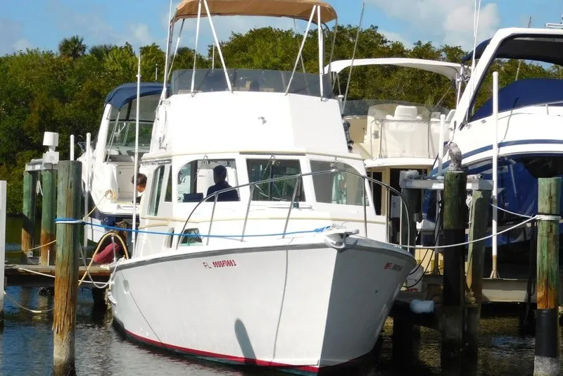 Slide: The Image of Bow view - 71