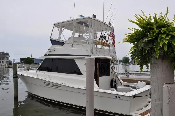 Slide: The Image of Viking 35 Convertible 1988 - 0