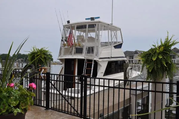 Slide: The Image of Viking 35 Convertible 1988 - 1