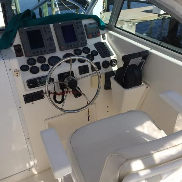 Slide: The Image of Kevlacat 2001 - 10