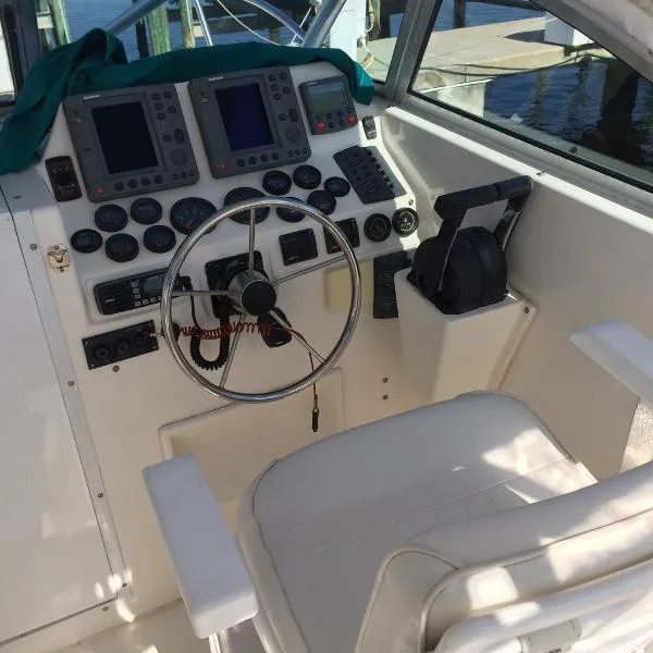 Slide: The Image of Kevlacat 2001 - 11