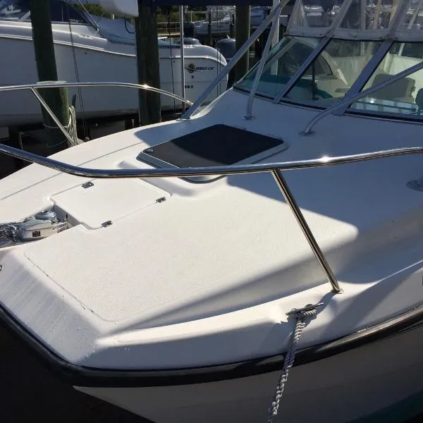 Slide: The Image of Kevlacat 2001 - 3